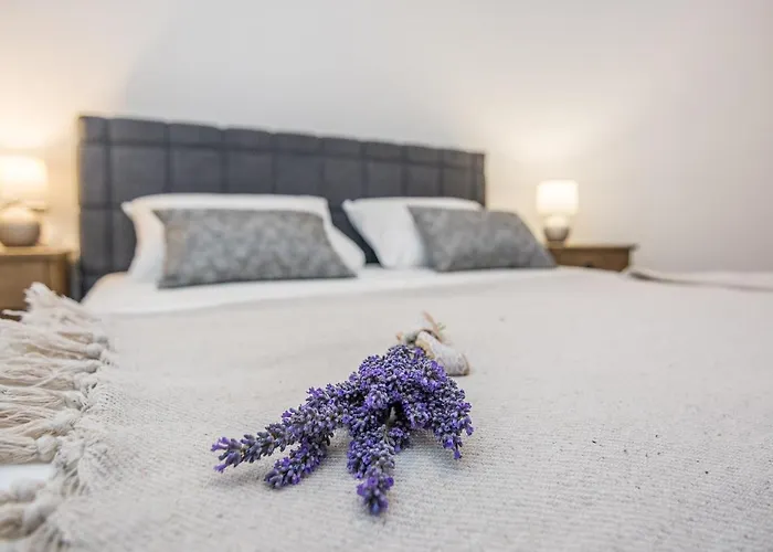 Apartmán Maella Zadar